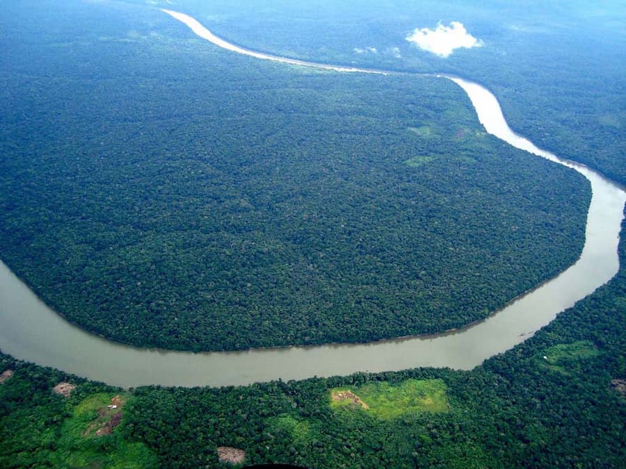 The Amazon rainforest provides 20% of the world's oxygen