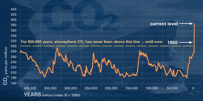 Atmospheric carbon dioxide concentrations have increased drastically in a short amount of time