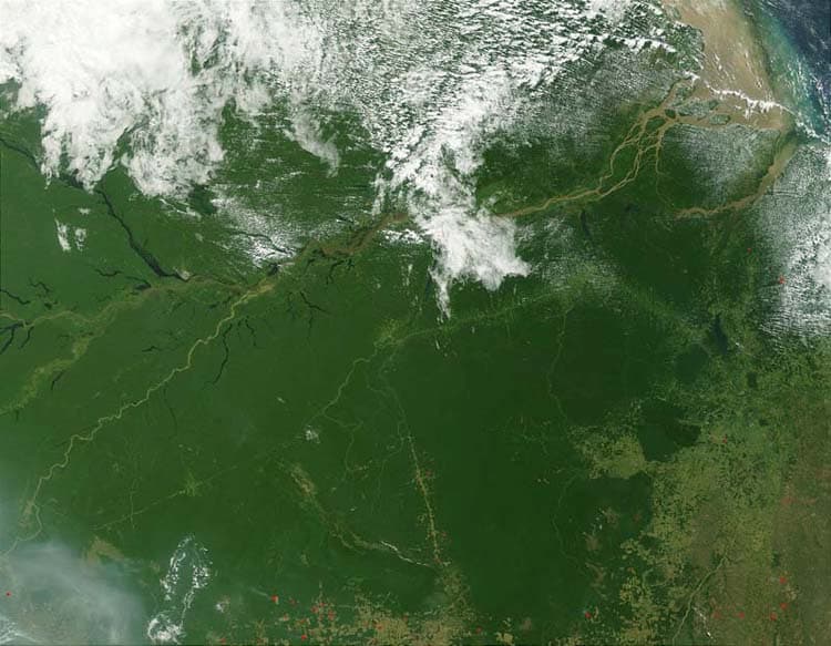 The deforestation in the Amazon Rainforest can be seen from satellites