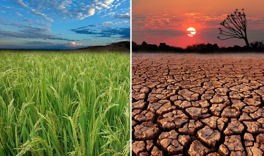 Desertification and Climate Change