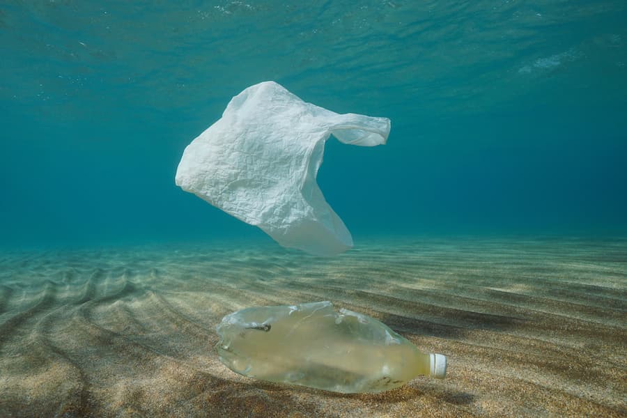 Plastic Bag Underwater