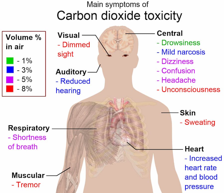 Carbon dioxide toxicity can cause many different symptoms