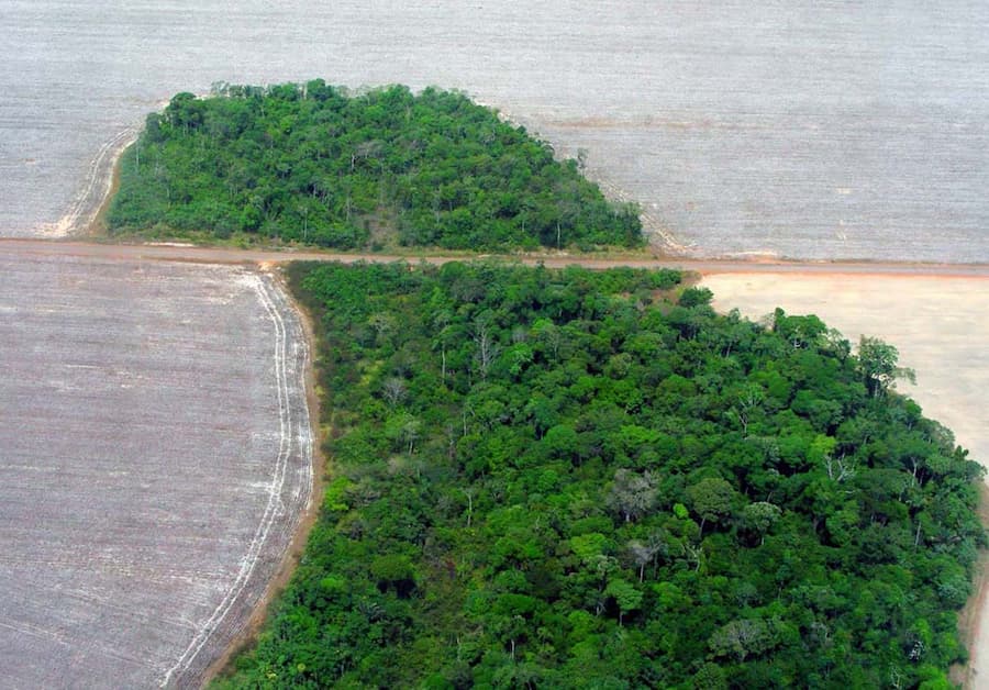 Deforestation in the Mato Grosso state of Brazil in 2007