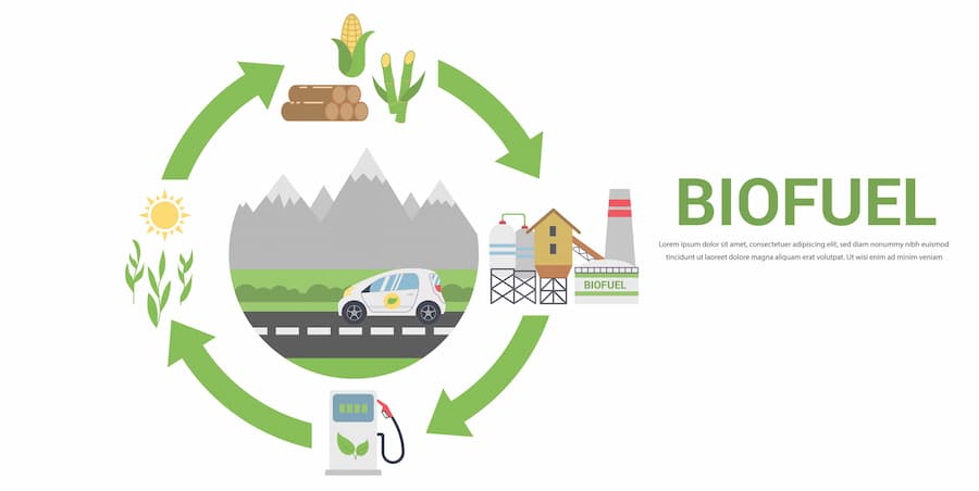 Biofuel Illustration