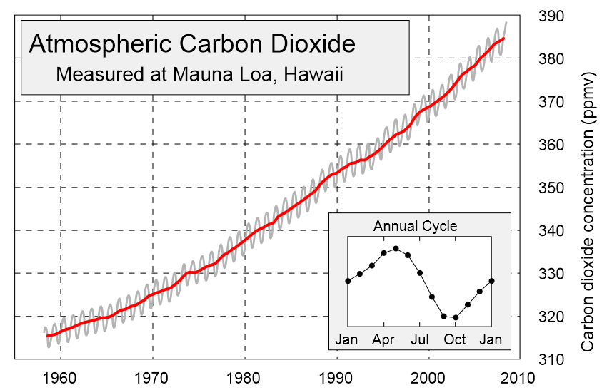 Although carbon concentrations fluctuate between seasons, there is a steady annual increase