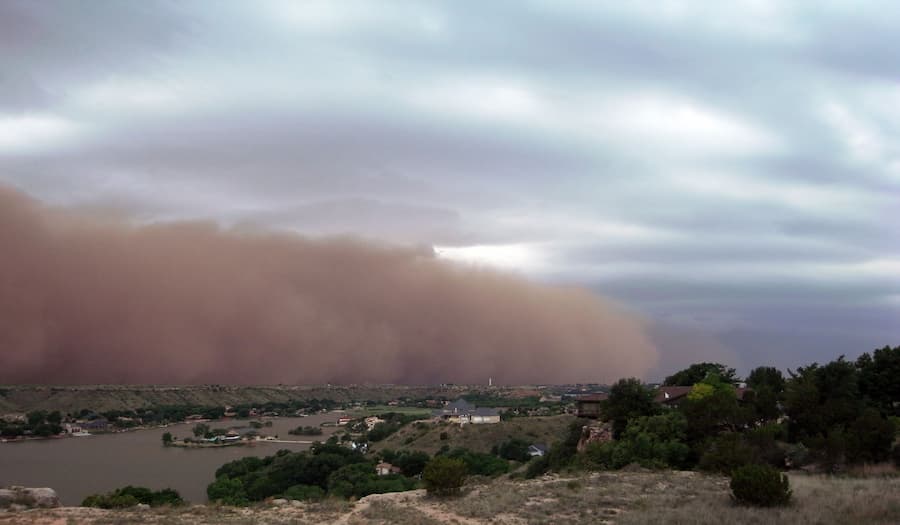 Dust storms can spread disease and will have disastrous effects on agriculture