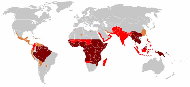 Distribution of malaria around the world